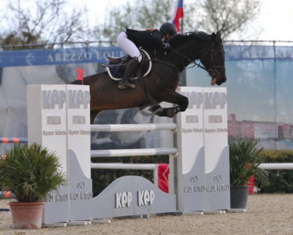 broodmare Cornelia (Holsteiner, 2003, from Carano)