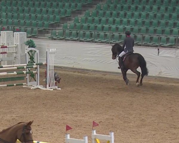 Reitturnier Kreuth/Opf. 2019