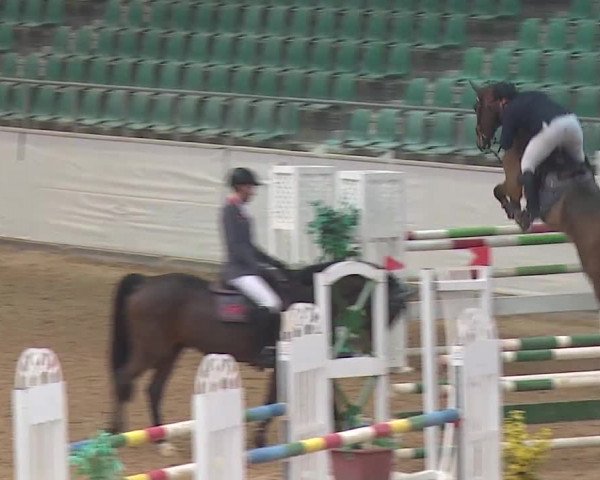 Reitturnier Kreuth/Opf. 2019