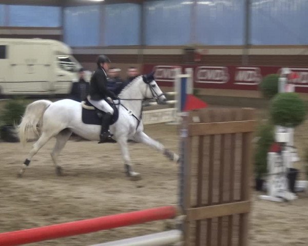Reitturnier Kaldenkirchen - Gestüt Seehof 2019