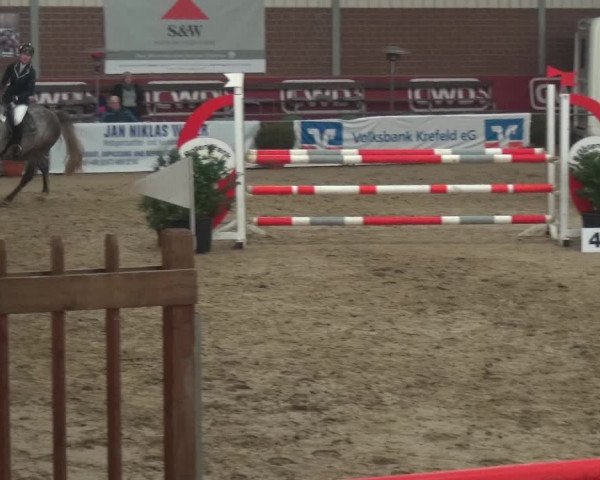 Reitturnier Kaldenkirchen - Gestüt Seehof 2019