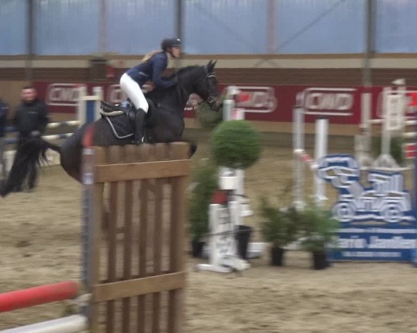 Reitturnier Kaldenkirchen - Gestüt Seehof 2019