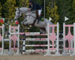jumper Calgary Eh (Holsteiner, 2008, from Colman)