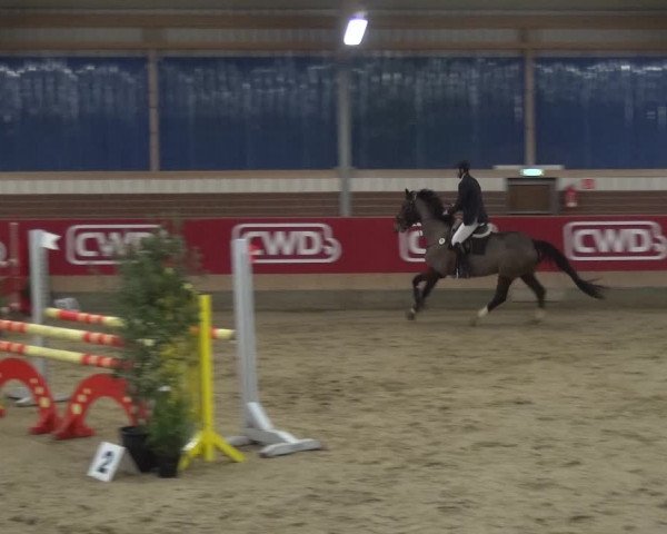 Reitturnier Kaldenkirchen - Gestüt Seehof 2019