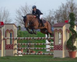 jumper Fabian (KWPN (Royal Dutch Sporthorse), 2010, from Dubai)