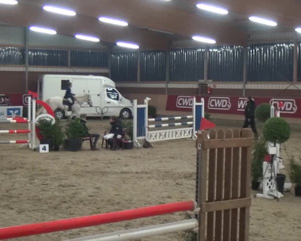 Reitturnier Kaldenkirchen - Gestüt Seehof 2019