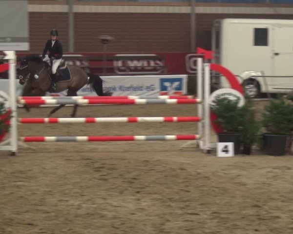 Reitturnier Kaldenkirchen - Gestüt Seehof 2019
