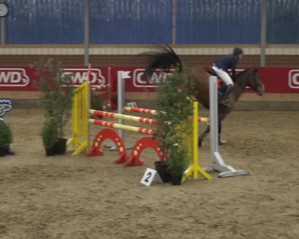 Reitturnier Kaldenkirchen - Gestüt Seehof 2019