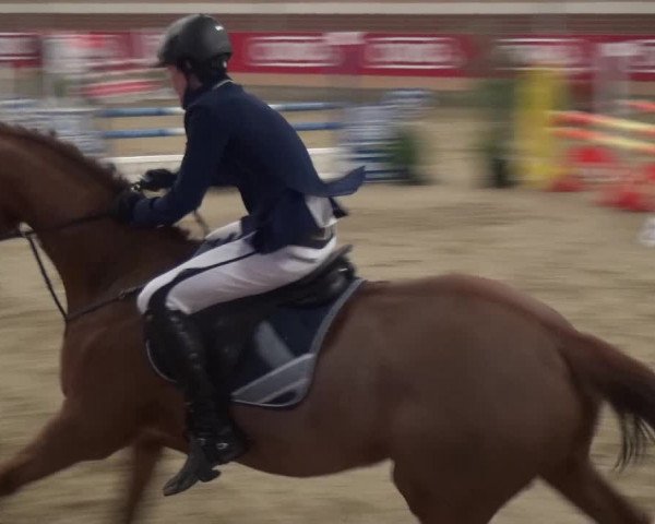 Reitturnier Kaldenkirchen - Gestüt Seehof 2019
