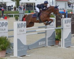 broodmare Saigon 32 (Hanoverian, 2006, from Stakkato)