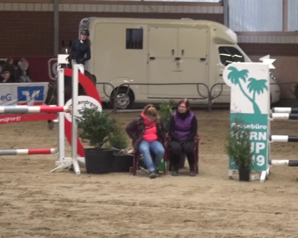 Reitturnier Kaldenkirchen - Gestüt Seehof 2019