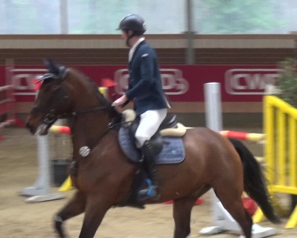 Reitturnier Kaldenkirchen - Gestüt Seehof 2019
