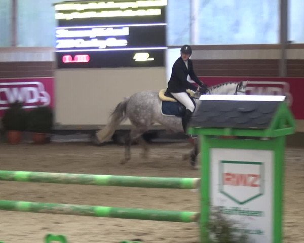 Reitturnier Kaldenkirchen - Gestüt Seehof 2019