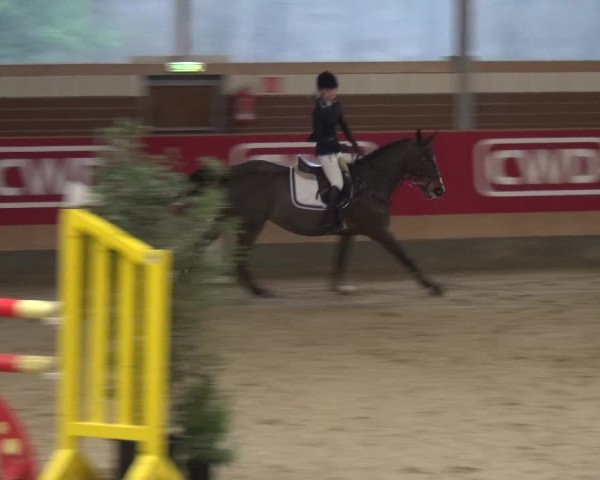 Reitturnier Kaldenkirchen - Gestüt Seehof 2019