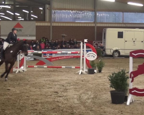 Reitturnier Kaldenkirchen - Gestüt Seehof 2019