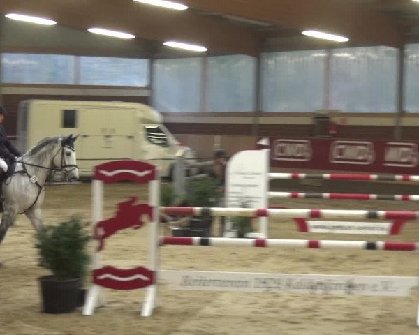 Reitturnier Kaldenkirchen - Gestüt Seehof 2019