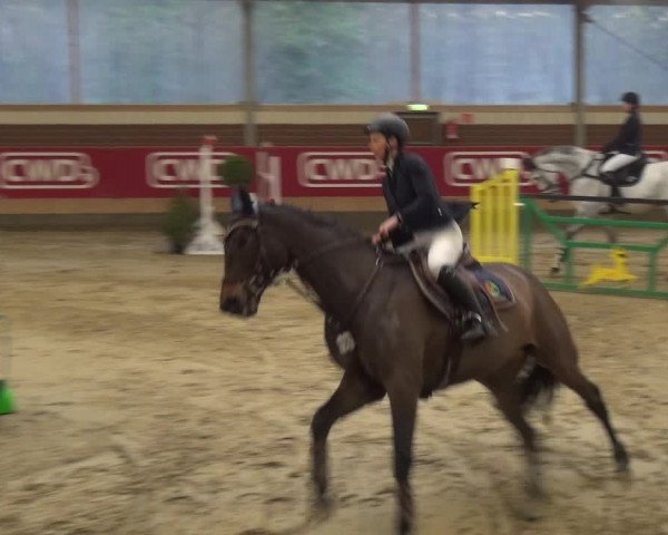 Reitturnier Kaldenkirchen - Gestüt Seehof 2019