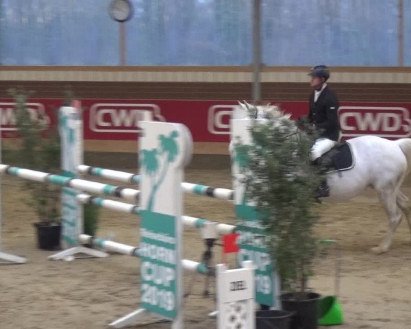 Reitturnier Kaldenkirchen - Gestüt Seehof 2019