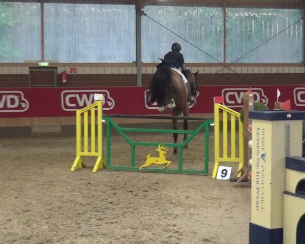Reitturnier Kaldenkirchen - Gestüt Seehof 2019