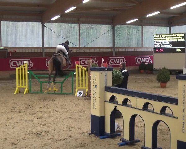 Reitturnier Kaldenkirchen - Gestüt Seehof 2019