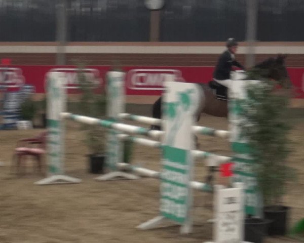 Reitturnier Kaldenkirchen - Gestüt Seehof 2019