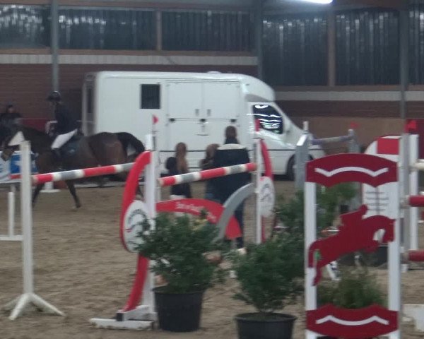 Reitturnier Kaldenkirchen - Gestüt Seehof 2019