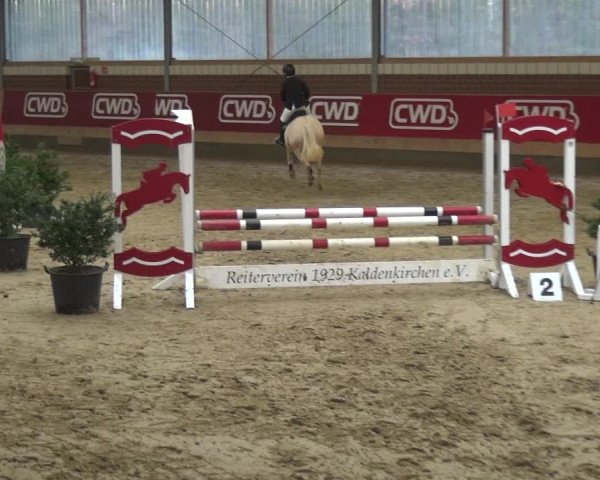 Reitturnier Kaldenkirchen - Gestüt Seehof 2019