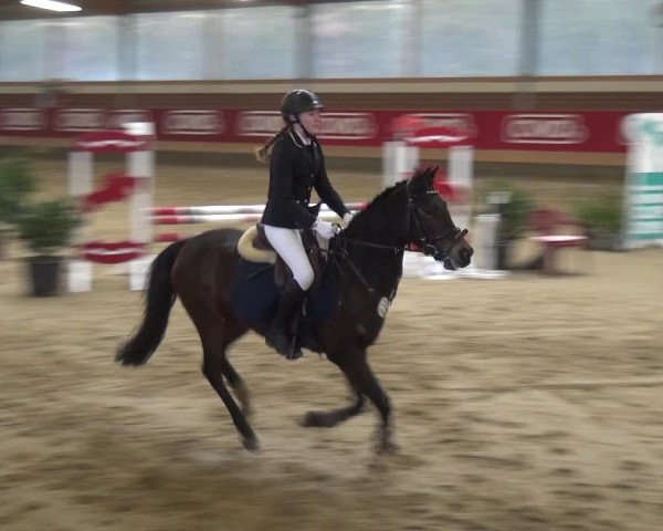 Reitturnier Kaldenkirchen - Gestüt Seehof 2019