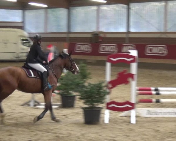 Reitturnier Kaldenkirchen - Gestüt Seehof 2019