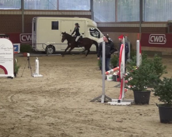 Reitturnier Kaldenkirchen - Gestüt Seehof 2019