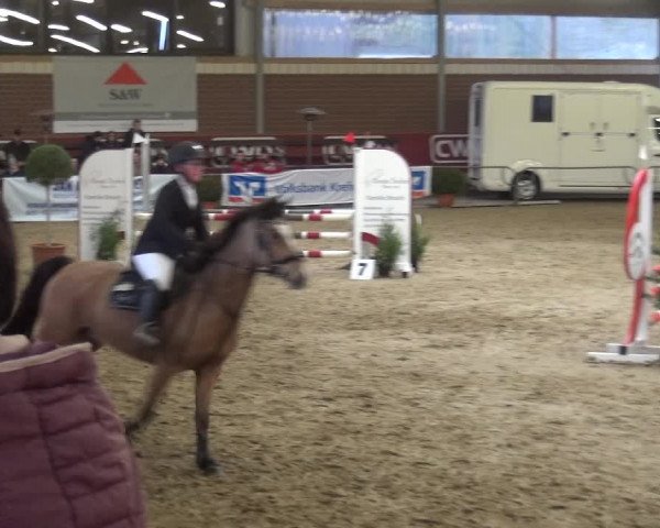 Reitturnier Kaldenkirchen - Gestüt Seehof 2019