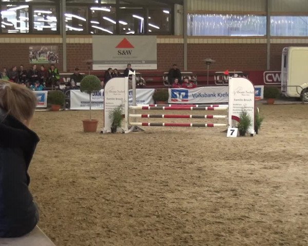 Reitturnier Kaldenkirchen - Gestüt Seehof 2019