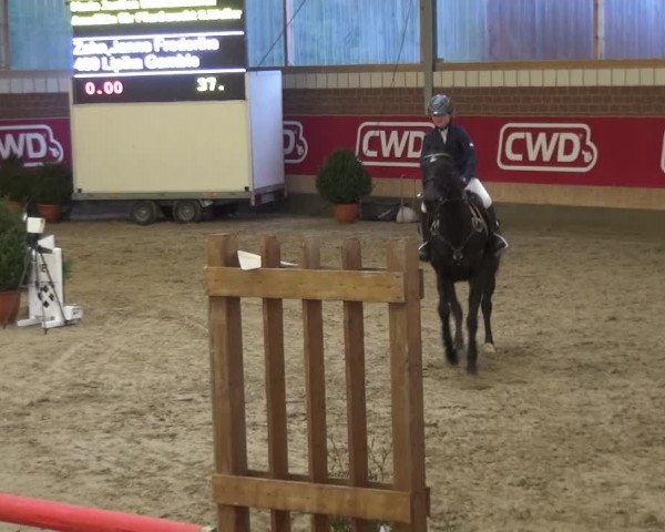 Reitturnier Kaldenkirchen - Gestüt Seehof 2019