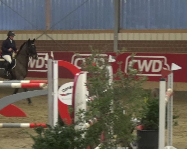 Reitturnier Kaldenkirchen - Gestüt Seehof 2019