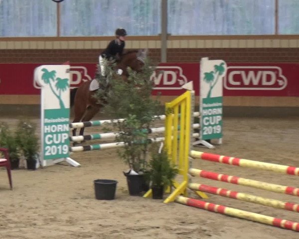 Reitturnier Kaldenkirchen - Gestüt Seehof 2019