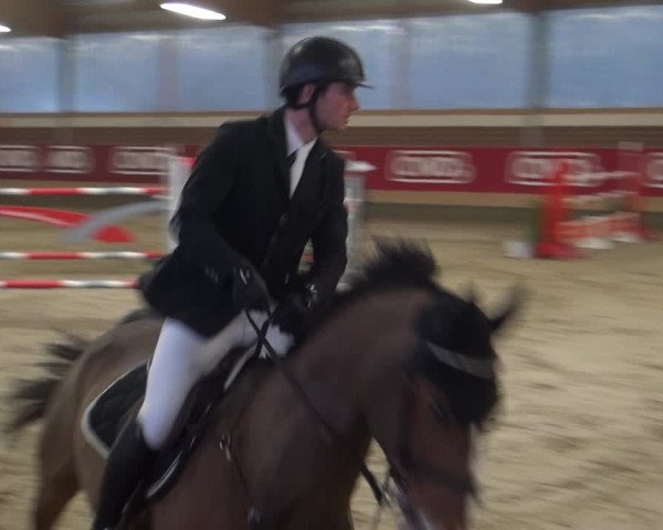 Reitturnier Kaldenkirchen - Gestüt Seehof 2019