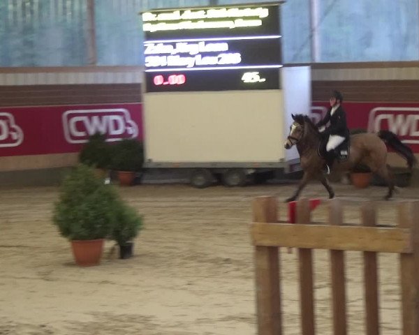 Reitturnier Kaldenkirchen - Gestüt Seehof 2019