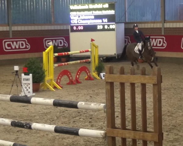 Reitturnier Kaldenkirchen - Gestüt Seehof 2019