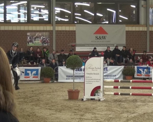 Reitturnier Kaldenkirchen - Gestüt Seehof 2019