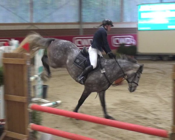 Reitturnier Kaldenkirchen - Gestüt Seehof 2019