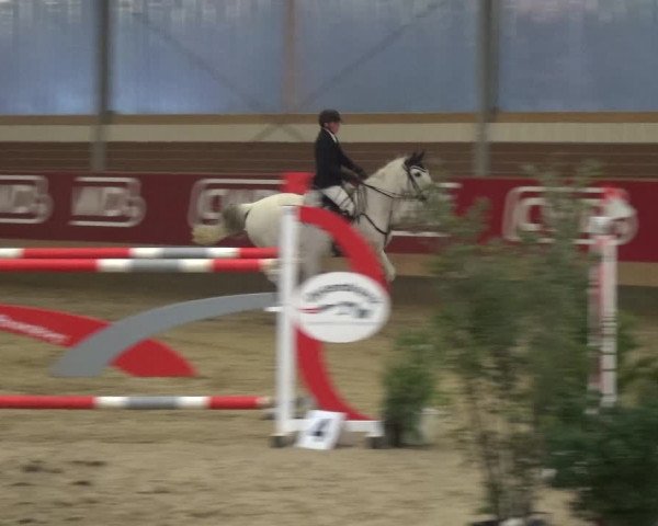 Reitturnier Kaldenkirchen - Gestüt Seehof 2019