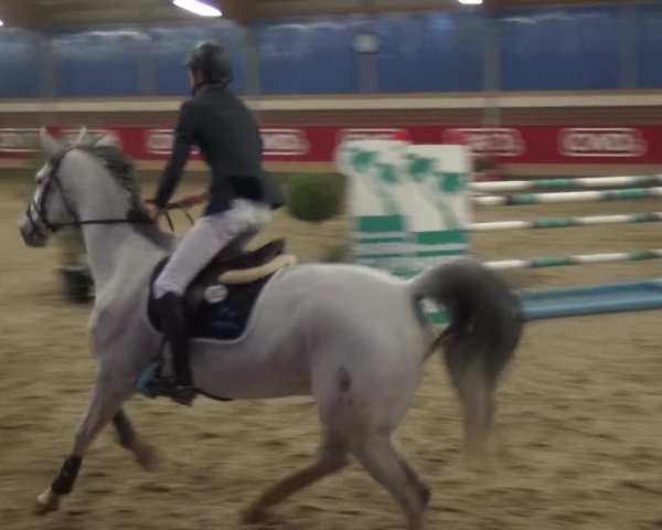 Reitturnier Kaldenkirchen - Gestüt Seehof 2019