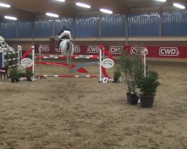 Reitturnier Kaldenkirchen - Gestüt Seehof 2019