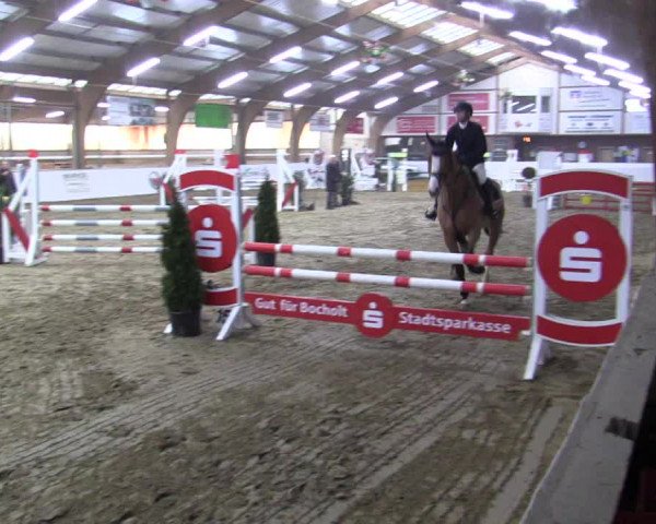 Reitturnier Barlo-Bocholt 2019
