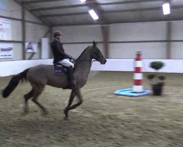 Reitturnier Barlo-Bocholt 2019