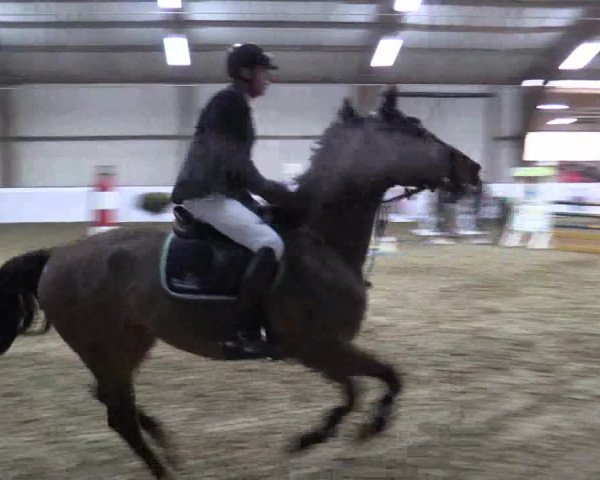 Reitturnier Barlo-Bocholt 2019