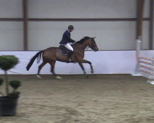 Reitturnier Barlo-Bocholt 2019