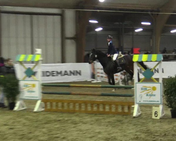 Reitturnier Barlo-Bocholt 2019