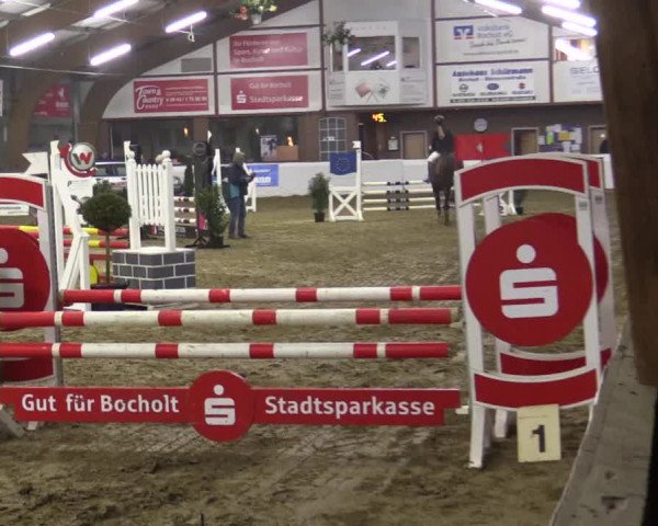 Reitturnier Barlo-Bocholt 2019