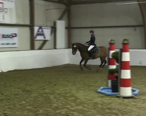 Reitturnier Barlo-Bocholt 2019